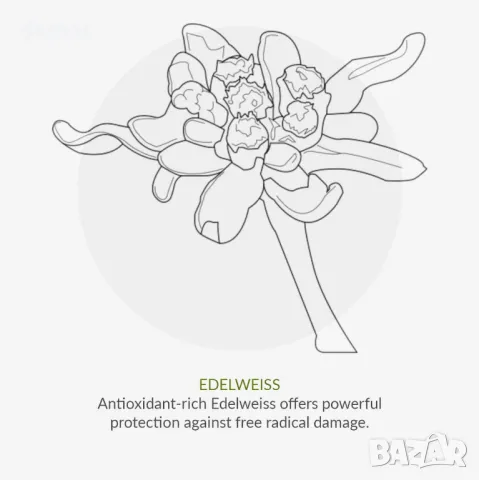 Органичен слънцезащитен крем Green People Travel Pack | Слънцезащитен крем SPF30 + Aftersun репелент, снимка 5 - Козметика за тяло - 47800311