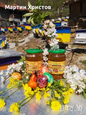 Пчелен мед от Еленския балкан 2023, снимка 1 - Пчелни продукти - 30567850