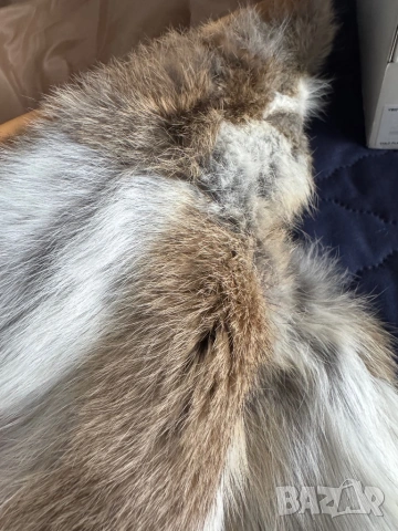 Calvin Klein, снимка 3 - Кецове - 53121650