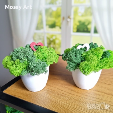 Декорации със скандинавски мъх, снимка 4 - Декорация за дома - 53198852