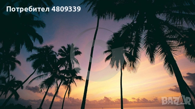 Райският Занзибар – 7 нощувки с полет от Мадрид