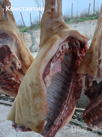 Свинско трупно пърлено на половинки, снимка 4 - Домашни продукти - 52213296