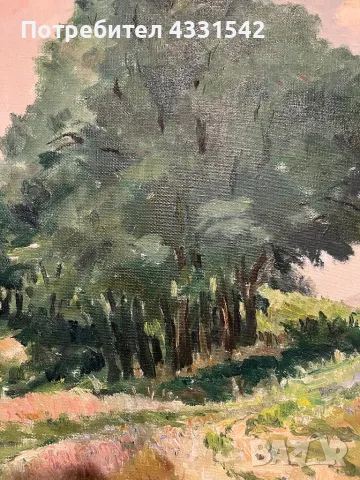 проф. Панайот Панайотов /1909-1986/- Класически пейзаж, снимка 4 - Картини - 48370708