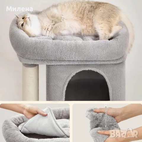 котешка катерушка, снимка 2 - За котки - 55980676