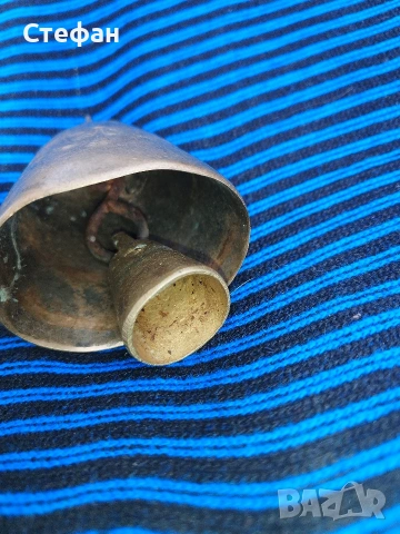 Стар родопски чан., снимка 3 - Крави - 53923482