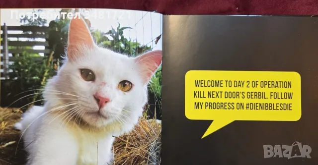 Cat Selfies албум     , снимка 4 - Изкуство, музика, кино и фотография - 55817036