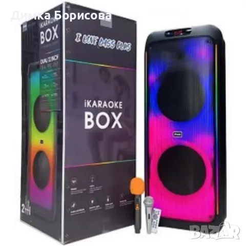 Мощна аудиосистема 12"х2 с два микрофона, снимка 1