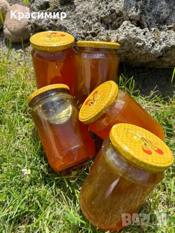 Предлагам натурален пчелен мед , снимка 2 - Пчелни продукти - 50456583