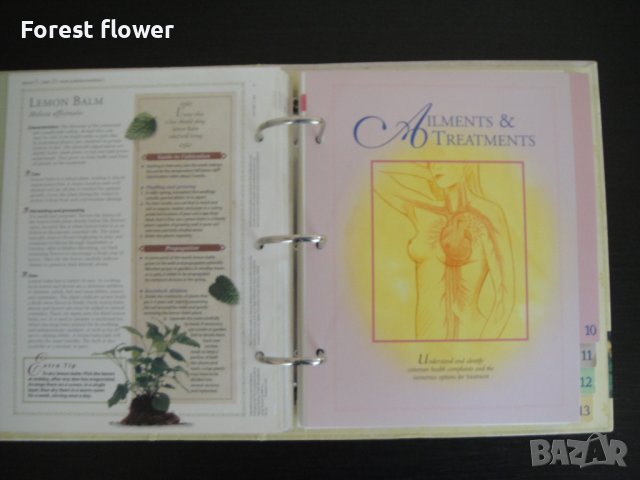 Книга/Класьор - The Complete Guide to Natural Healing, снимка 14 - Енциклопедии, справочници - 37516127