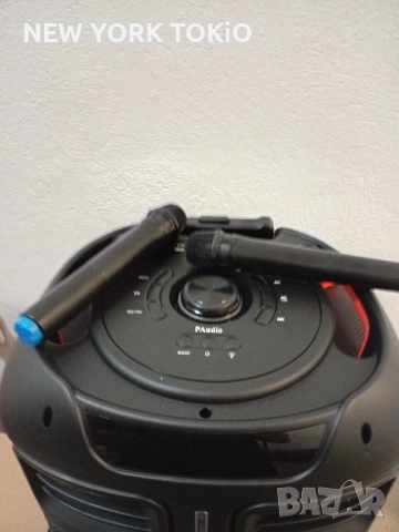  КАРАОКЕ ТОНКОЛОНА , снимка 5 - Тонколони - 52638266