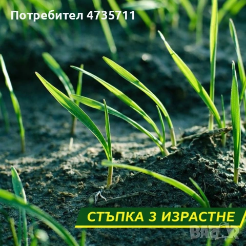 Подложка с тревни семена, биоразградима текстилна подложка, подрязваща се, наторена, снимка 6 - Други стоки за дома - 54089153