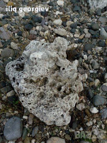 Камъни за алпинеум, снимка 1