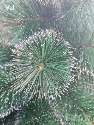 Коледна елха с бели заскрежени връхчета.  , снимка 6 - Декорация за дома - 52435076