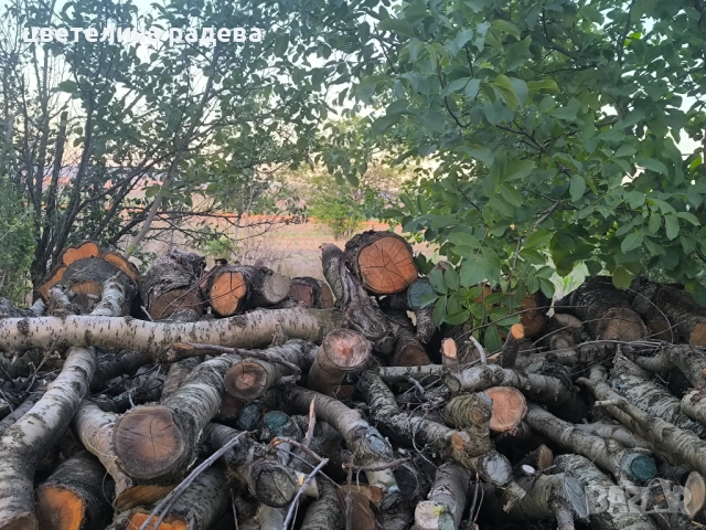 Дърва за огрев, снимка 5 - Дърва за огрев - 52809288