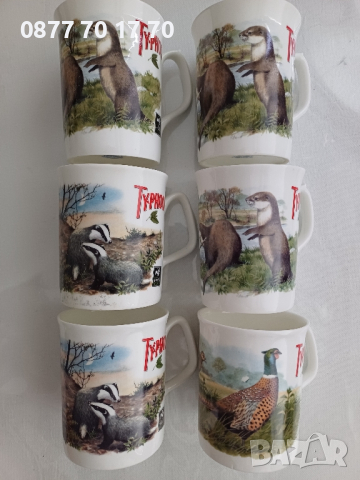 6 бр. чаши от 100% костен порцелан