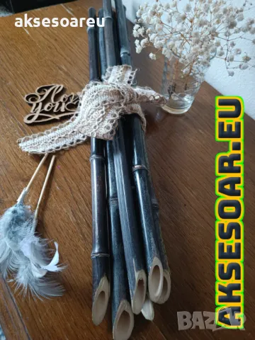 100 висококачествени семена Студоустойчив черен бамбук от САЩ за Декорация на дома и Градината , снимка 10 - Сортови семена и луковици - 49727476