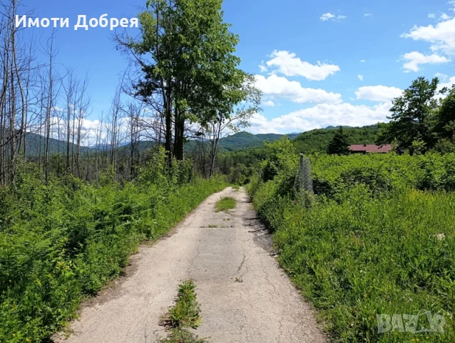 Имот в Троянски балкан, в спокойна и красива местност, снимка 3 - Парцели - 50514963