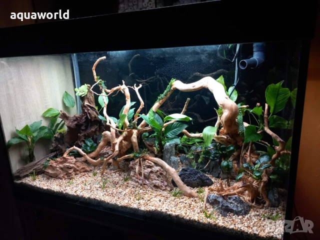 "ПРОМОЦИЯ" Грунд Естествен речен пясък "White Pearl" 3-5мм 2кг 