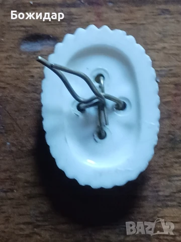 Емайлова кокарда. 70те.г., снимка 2 - Колекции - 51344515