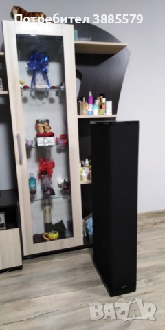 Тонколони Definitive technologies BP 2002, снимка 11 - Тонколони - 52514771