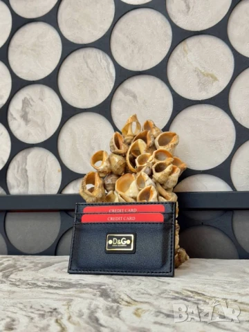 визитници chloe Moncler coach fendi louis vuitton , снимка 14 - Портфейли, портмонета - 51080463