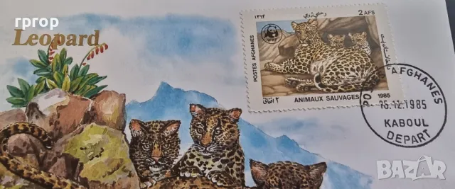 Афганистан.
Афганистански афган.
500 афгана.
	1987 година. Нумизматичен плик., снимка 4 - Нумизматика и бонистика - 48744502