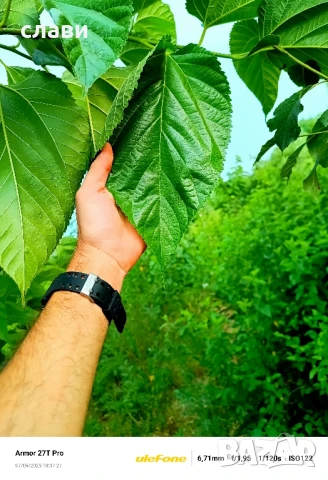 Мулч / Дървесен чипс / 100% Черница , снимка 2 - Тор и почвени смеси - 51243614