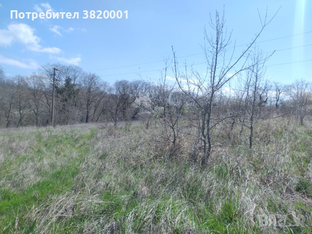 Без комисиона парцел 3.6 дка с ПУП, снимка 2 - Парцели - 54111115