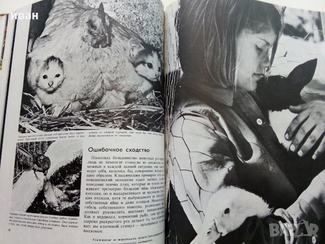 Поведение животных - Н.Тинберген, снимка 10 - Енциклопедии, справочници - 30433762