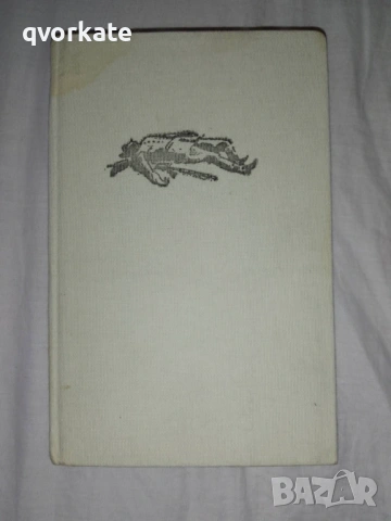 Африкански вятър-Кристин Арноти, снимка 2 - Художествена литература - 18703651