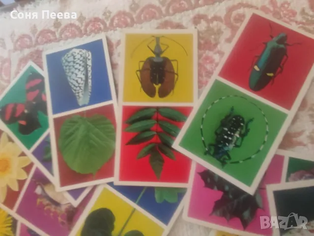 Домино-пъзел с подарък дървени кубчета, снимка 6 - Образователни игри - 48354953