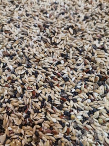 Премиум храна за канари. , снимка 2 - За птици - 31523444