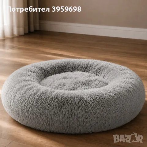 легло за домашен любимец