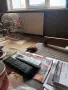 Поен папагал мъжки , снимка 10