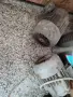 електро мотори Ел двигатели, снимка 1