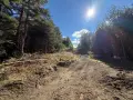 Земеделска земя , снимка 8