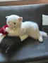 Огромно плюшено коте, снимка 5