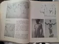 Пластична анатомия,Кр.Чоканов, снимка 5