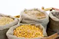 🌾 НОВА РЕКОЛТА 2026 – чисто зърно за животни, снимка 2