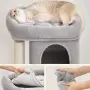 котешка катерушка, снимка 2
