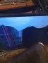 телевизор Samsung model UE43MU6179U, снимка 2