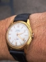 мъжки позлатен швейцарски часовник Horga, снимка 10
