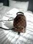 Louis Vuitton мини раничка, снимка 2