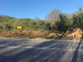  794 кв лозе НА ПЪРВА ЛИНИЯ / ГРАДИНА / терен / парцел / в гр. Силистра - ПОД ОСМИ ПОСТ , пътя за Ва, снимка 1