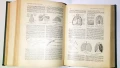 LAROUSSE MEDICAL ILLUSTRE, снимка 4