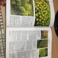 Цветна Енциклопедия - A-Z of perennials -Successful Gardening, снимка 8 - Енциклопедии, справочници - 30873235