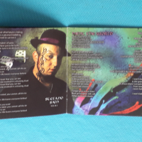 SinHeresY- 2013- Paint The World(Heavy Metal,Symphonic Rock) Italy, снимка 3 - CD дискове - 44730560