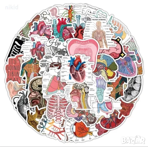 50 бр Човешко тяло човешки органи самозалепващи лепенки стикери за украса декор картонена торта др , снимка 1