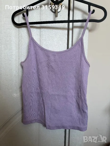 Лилав потник, снимка 1