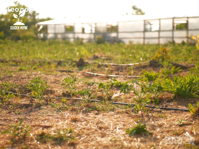 Дървесен чипс на едро (компостиращ), снимка 3 - Тор и почвени смеси - 52135429